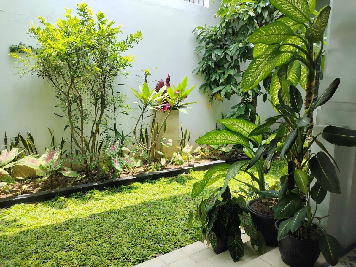 Hotel Griya Asih Jogyakarta Zewnętrze zdjęcie